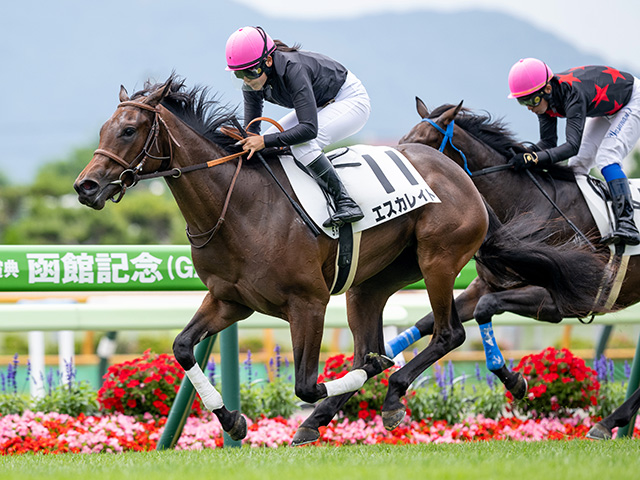 【函館5R新馬戦結果】ロードカナロア産駒エスカレイトが初陣飾る