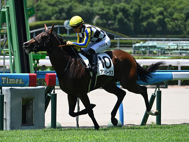 【小倉5R新馬戦結果】ニューイヤーズデイ産駒アンヘリータスが3馬身差でV