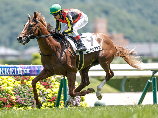 【福島5R新馬戦結果】ジオグリフの全弟ロスパレドネスが突き抜け完勝