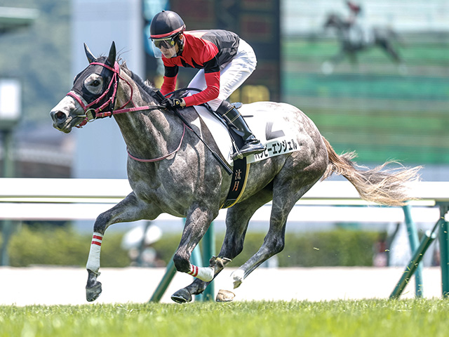 【福島6R新馬戦結果】ジョーカプチーノ産駒ハッピーエンジェルが突き抜けてV