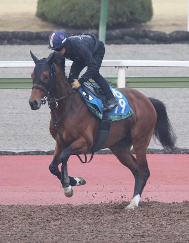 【函館記念】ヴェローチェエラ　コースレコードを約37年ぶりに更新する快走で重賞初制覇