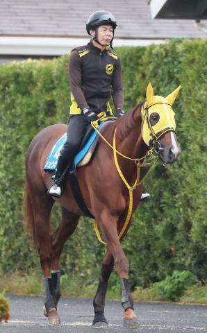 【大井競馬・帝王賞(7月2日)】メイショウハリオ史上初3度目戴冠を