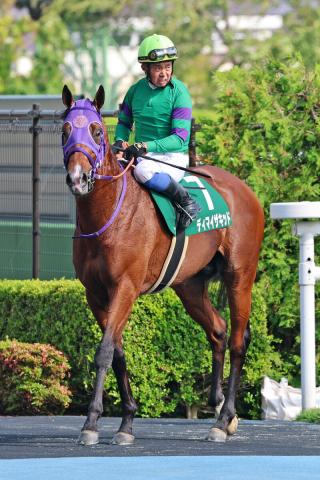 【函館記念】1番人気ディマイザキッドは後方から伸び切れず4着　岩田康誠騎手「ついていくのにひと苦労だった」