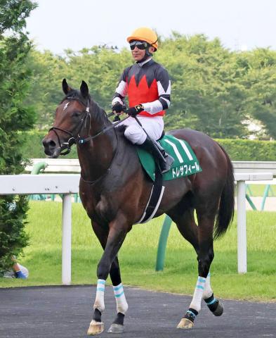 【ラジオNIKKEI賞】1番人気トレサフィールは逃げるも直線で失速6着　稲垣調教師「落ち着きがあれば…」