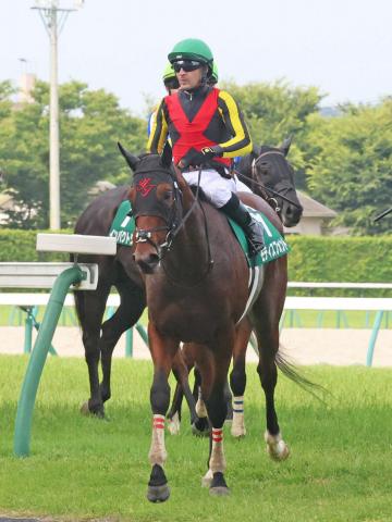 【ラジオNIKKEI賞】重賞初挑戦のモティスフォントは外から脚を伸ばすも7着　ルメール騎手「切れ味がなく…」