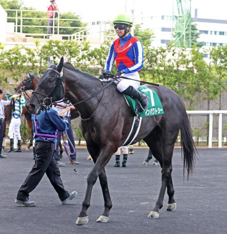 【ラジオNIKKEI賞】8番人気のインパクトシーは直線しぶとく伸びて3着　横山琉人騎手「強い内容だった」