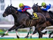 ヨシノイースターらが登録(ユーザー提供：都留岐 涼花さん)