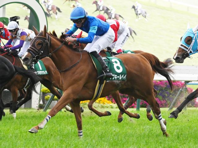 北九州記念と大井では帝王賞/今週の競馬界の見どころ