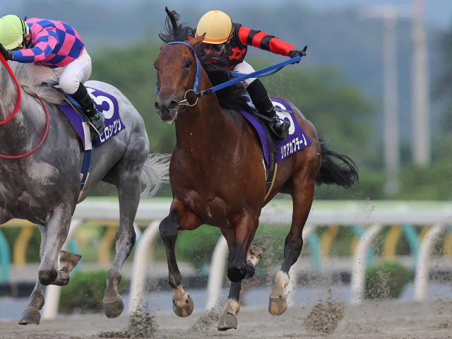 【水沢・一條記念 みちのく大賞典結果】リケアカプチーノが人気2頭の一騎打ちを制す