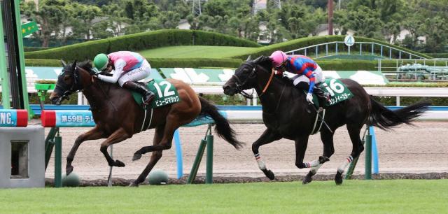 【北九州記念展望】昨年2着ヨシノイースター得意の小倉で初タイトル狙う