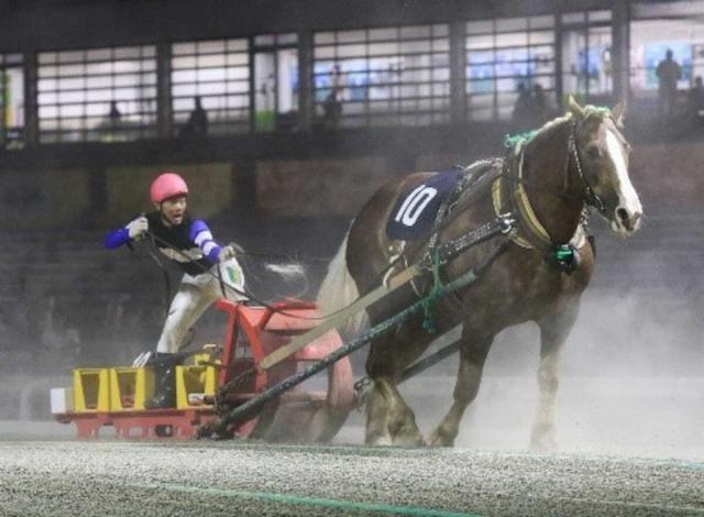 【ばんえい競馬　柏林賞】カフカが重賞2勝目　金田利騎手「2冠目に臨みたい」