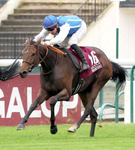 【サンクルー大賞】昨年の凱旋門賞2着馬　アヴァンチュールは2着で連勝ストップ　4歳セン馬のカランダカンがV