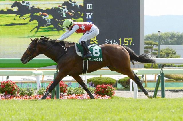 【函館記念】ヴェローチェエラ　“不滅の記録”0秒2更新!37年ぶりコースレコード　初タイトル獲得