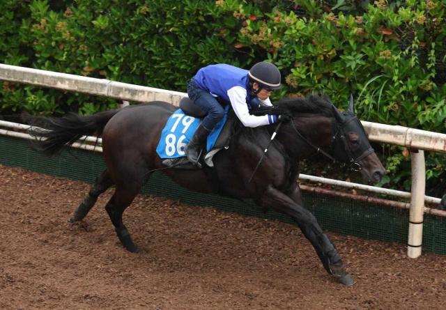 【北九州記念】ヨシノイースター衰えなし　4月の春雷Sで6勝目