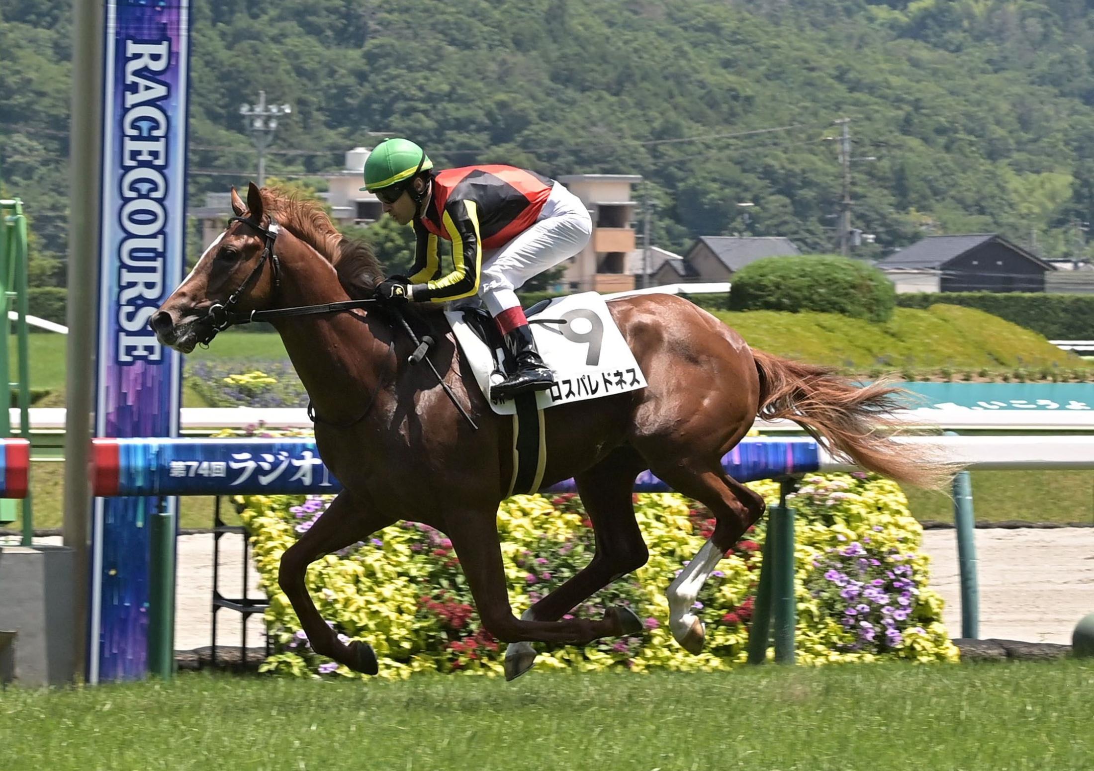 【新馬戦】ロスパレドネス　評判通りの圧勝　兄は２２年皐月賞馬ジオグリフ　ルメール「まだ若いですし、伸びしろあります」
