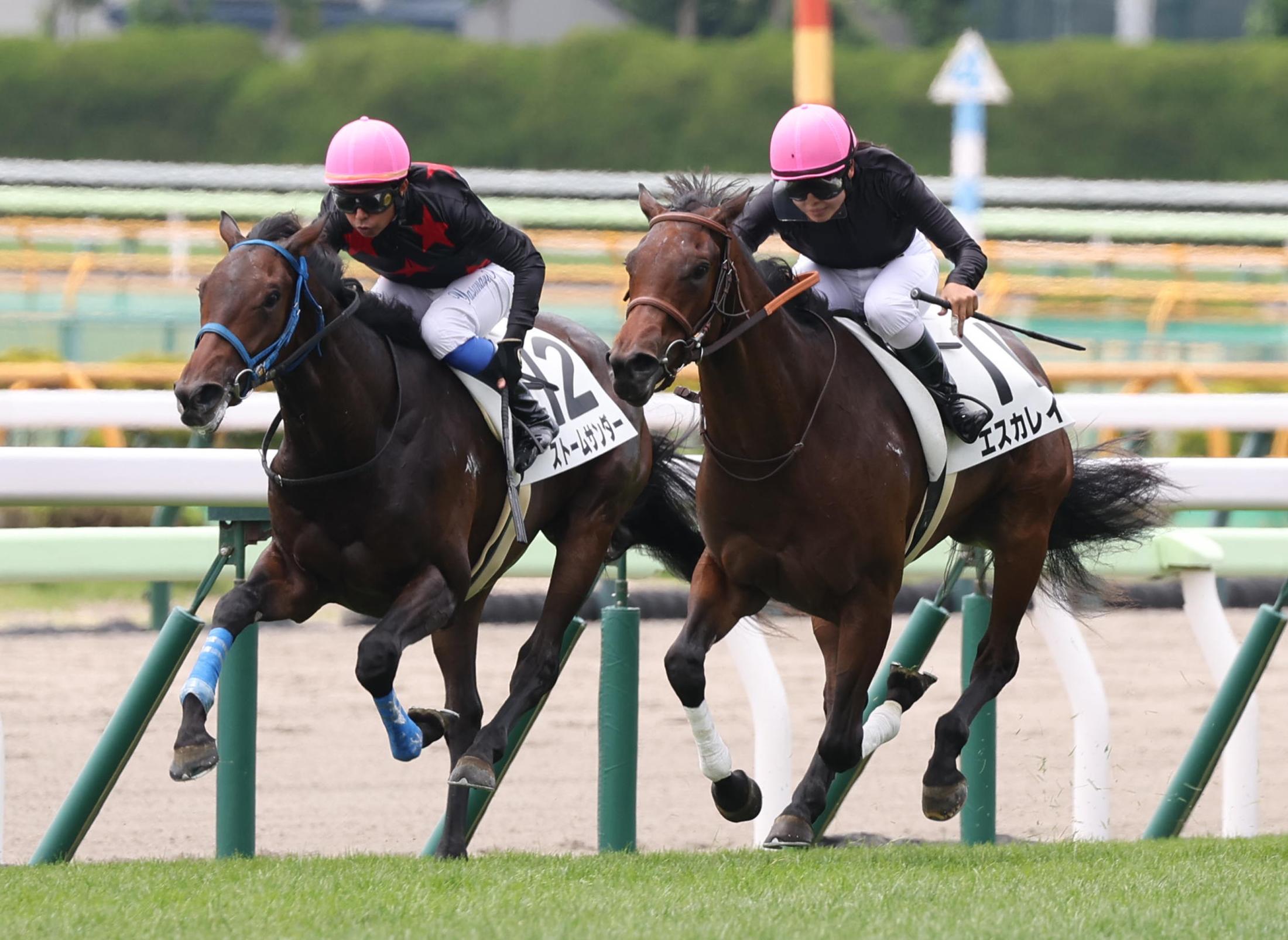 【新馬戦】エスカレイト　力強く抜け出してＶ　小林美駒「タイミング良く動けて、うまくいった」