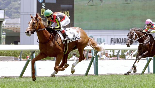 【福島5R・2歳新馬】兄は22年皐月賞馬ジオグリフ　「楽勝でしたね」10年ぶり福島で勝利のルメール騎手が評価