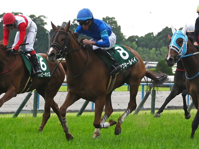 【北九州記念見どころ】古馬との初対戦も力上位アブキールベイ