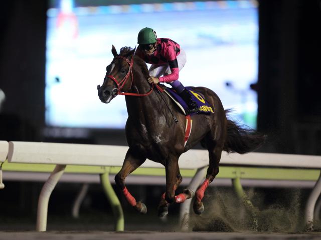 快足スマートファルコンの「9馬身差V」「2分1秒1」が燦然と輝く 帝王賞の勝ち時計ランキング