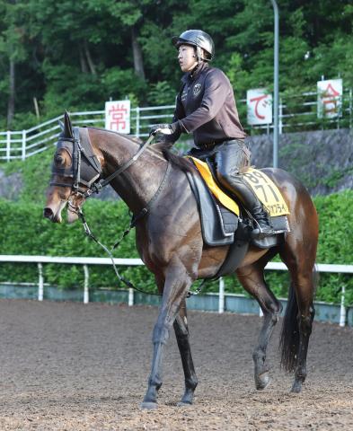 【北九州記念・ヤマタケの特注馬】近走は着順ひと息も敗因明らか　体調上向きのドロップオブライトに激走気配