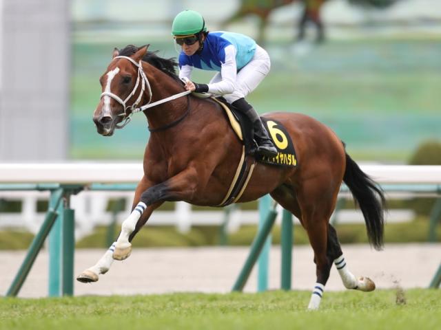 【先週のJRA抹消馬】22年中山記念3着のアドマイヤハダル、重賞馬ココロノアイの仔スナイチゴールドなど