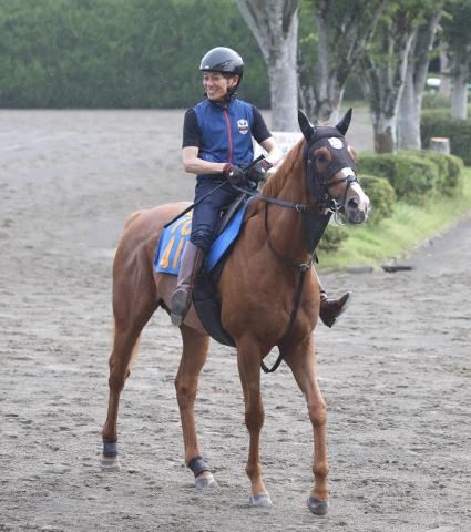 【ジュライS・イシゴーの特注馬】ジョージテソーロは小回り替わりでパフォーマンスはさらに上がる