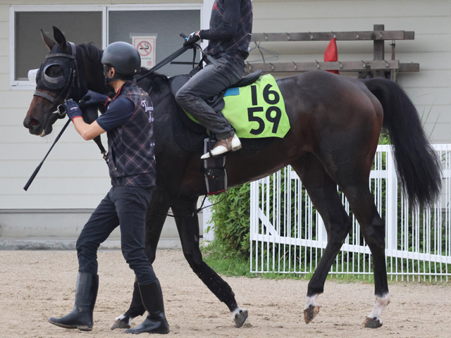 母はオークス馬シンハライト 土曜福島で初陣迎えるアランカール/関西馬メイクデビュー情報