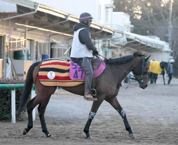 【横手特別・西山の特注馬】まだ底を見せていないプロミストジーンは年長馬が相手でも