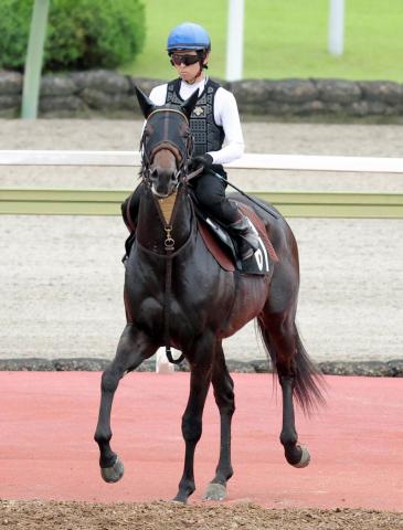 【北九州記念・理貴の特注馬】操縦性に進境見られるクラスペディアが重賞初制覇のチャンス