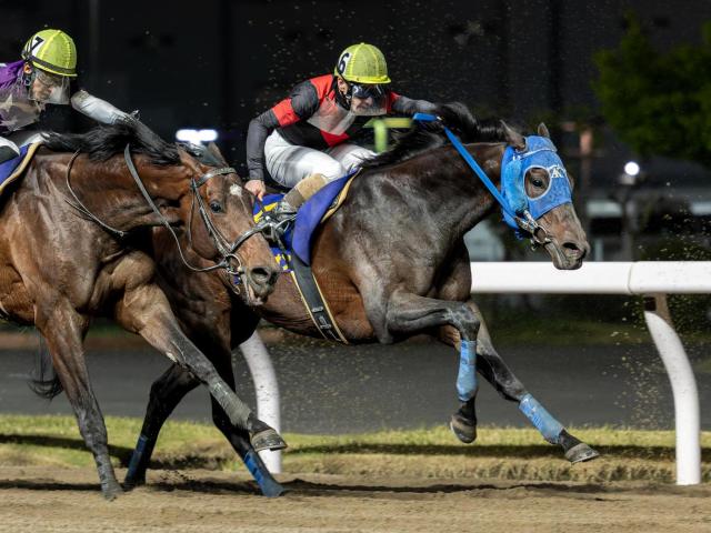 【帝王賞】地方馬15年ぶりの戴冠なるか 粒ぞろいのメンバーで打倒JRA勢へ