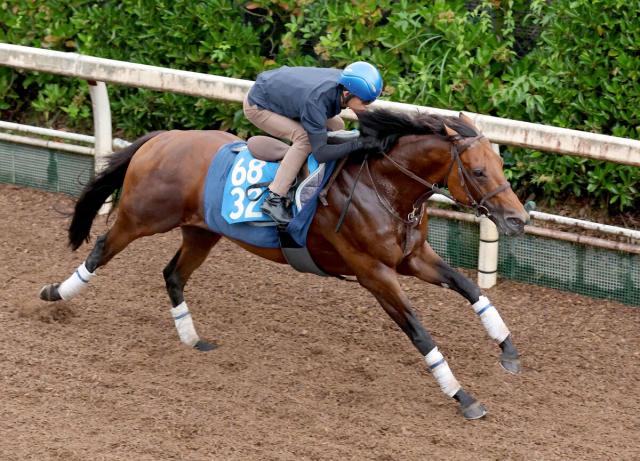 【北九州記念】キタノエクスプレスがオープン勝ちの舞台で反撃　坂口調教師「競馬も上手になってきている」