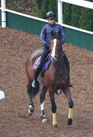【注目馬動向】宝塚記念15着のローシャムパークが喉の手術へ