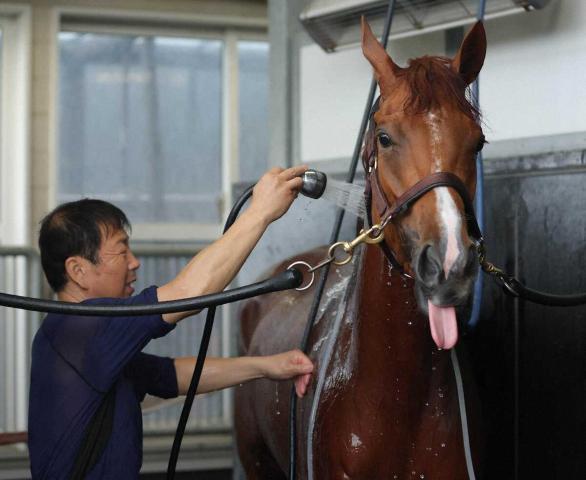【北九州記念】アブキールベイ3歳牝馬連覇へ!