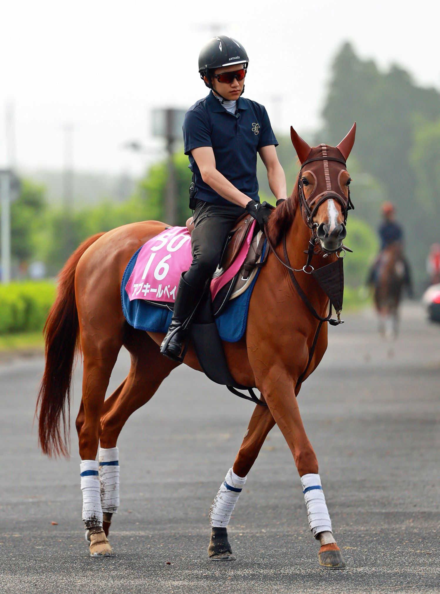【北九州記念】アブキールベイ　重賞連勝だ　前走葵Ｓ激走Ｖ！３歳馬勢いそのまま