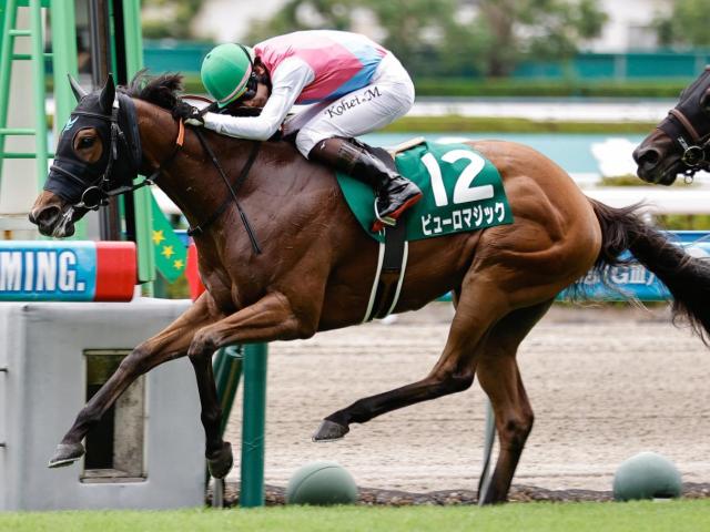 【北九州記念】上位人気不振で波乱傾向 前走1着馬が軸に最適
