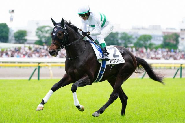 ダービー3着ショウヘイは神戸新聞杯で始動　友道師「内容を見て今後の路線を決定」