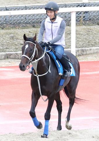 【北九州記念】メイショウソラフネはリフレッシュ効果十分　石橋調教師「ひと息入れたのは良かった」