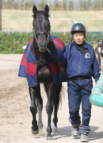 【注目馬動向】皐月賞9着のヴィンセンシオはレパードSでダートに初挑戦へ