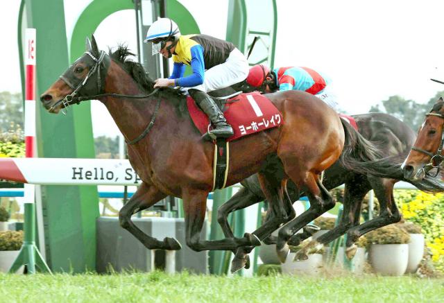 ダノンザキッド　実使用ゼッケン　JRA最優秀2歳牡馬　種牡馬　競馬　武豊　川田将雅 ダノンザキッドが報知杯弥生賞へ 昨年の最優秀2歳牡馬