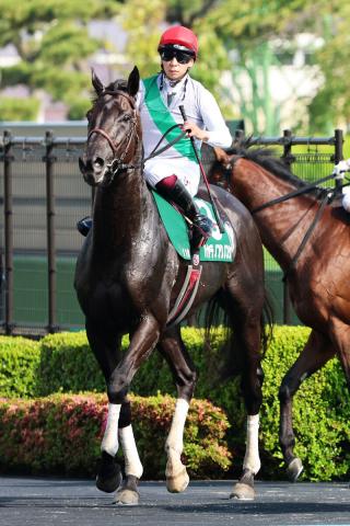 【注目馬動向】函館記念2着のハヤテノフクノスケは状態次第で札幌記念を視野