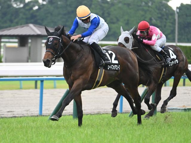【北九州記念予想オッズ】ロードフォアエースが予想1番人気