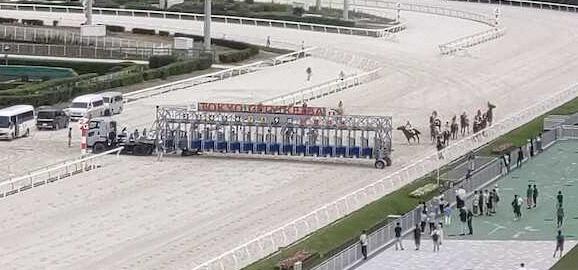 【大井競馬】6Rは不成立　スタートで転倒した馬が枠内に居座ってゲートをコース外に収容できず