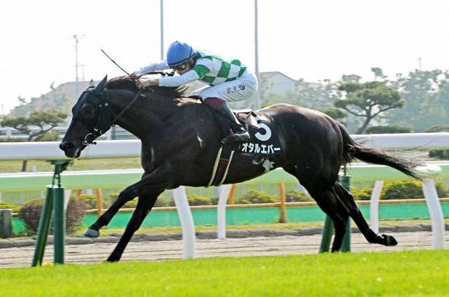 【北九州記念】オタルエバー　2年ぶりに夏の小倉へ　中竹師「順調に来ている」