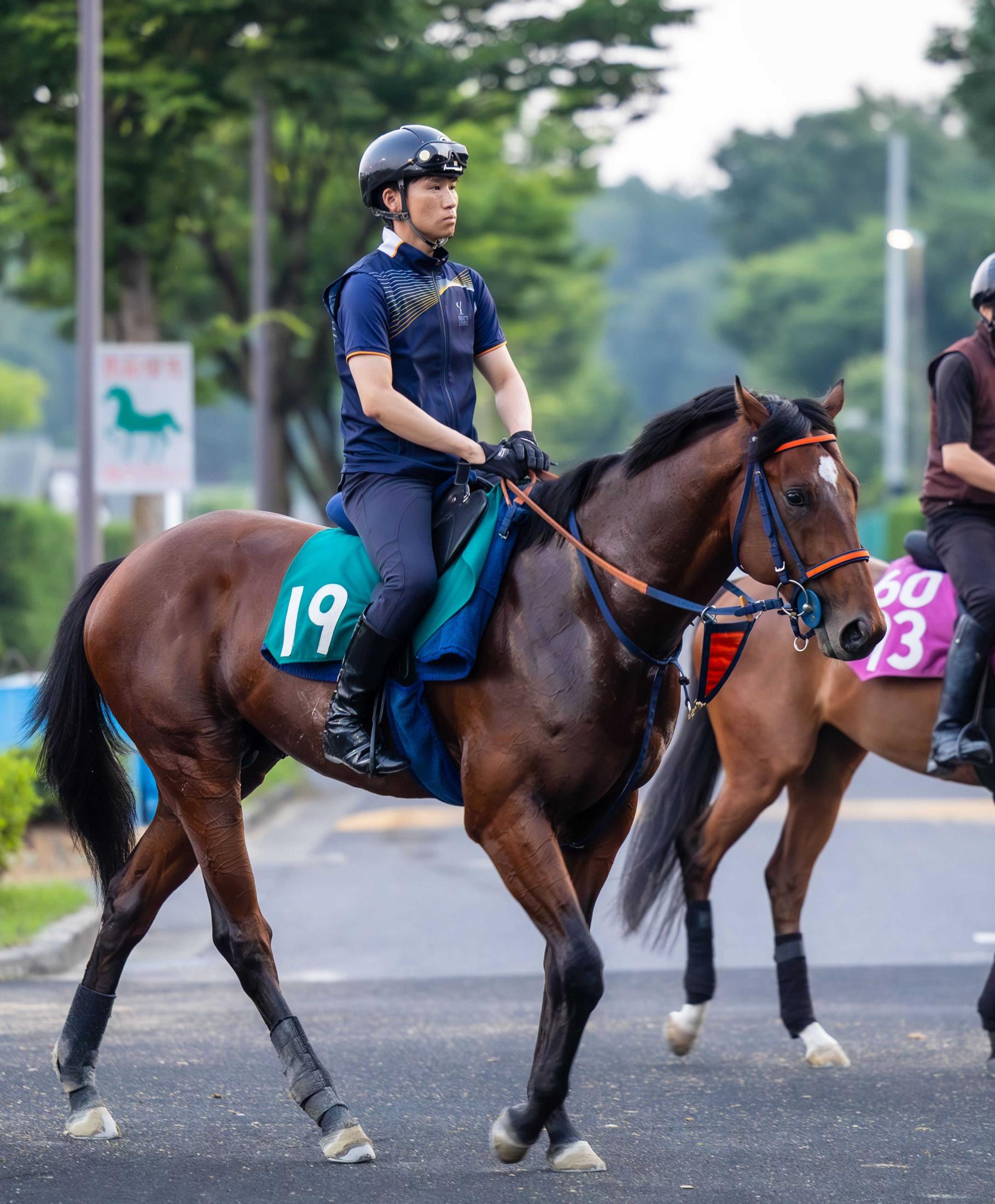 【新馬戦】サイン　キセキ産駒初陣へ手応え上々　父譲りの雄大な馬体を誇る