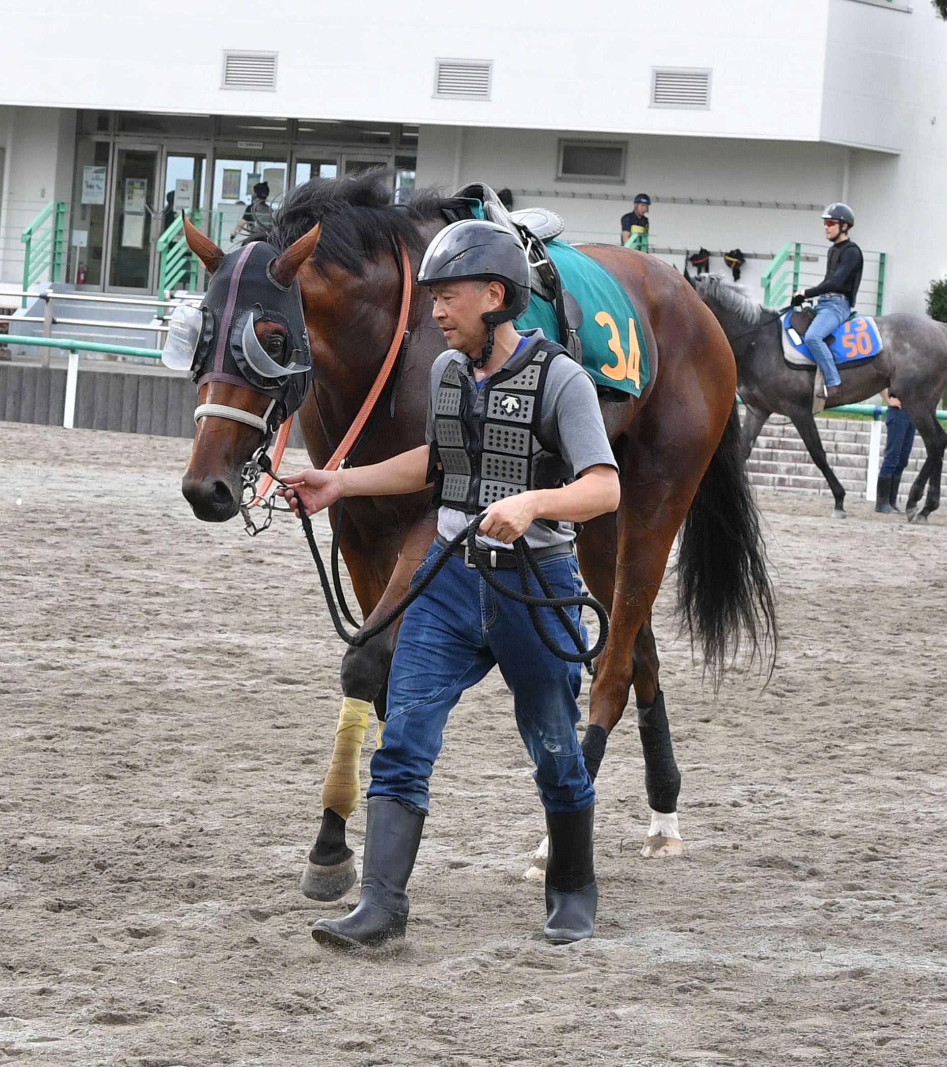 【新馬戦】タイダルロック　近親にクロワデュノール　素質買いだ　武井師「体力と心肺機能がいい」