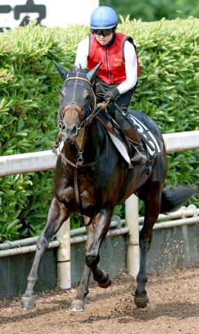 【北九州記念】重賞2着2回クラスペディアが開業2年目の河嶋厩舎に初タイトルもたらす「状態良く、順調にここまでこられている」
