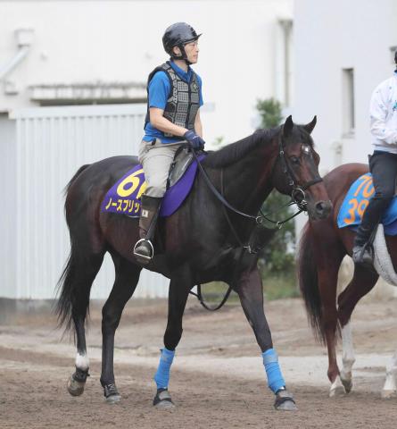 【注目馬動向】左前肢の脚部不安で長期休養中のノースブリッジが復活の兆し　順調なら再来週にも坂路で調教再開へ