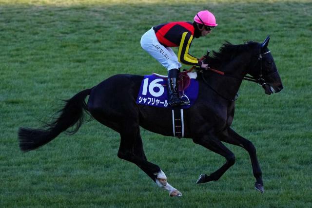 シャフリヤール種牡馬電撃引退　社台SS徳武場長「残念。そのひと言に尽きます」
