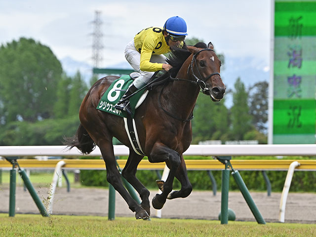 【七夕賞想定】シリウスコルトやパラレルヴィジョンなど13頭