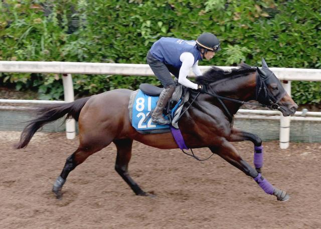 【北九州記念】ロードフォアエースは坂路で52秒6　スプリント重賞初Vかかる友道調教師「息の入りも良かった」